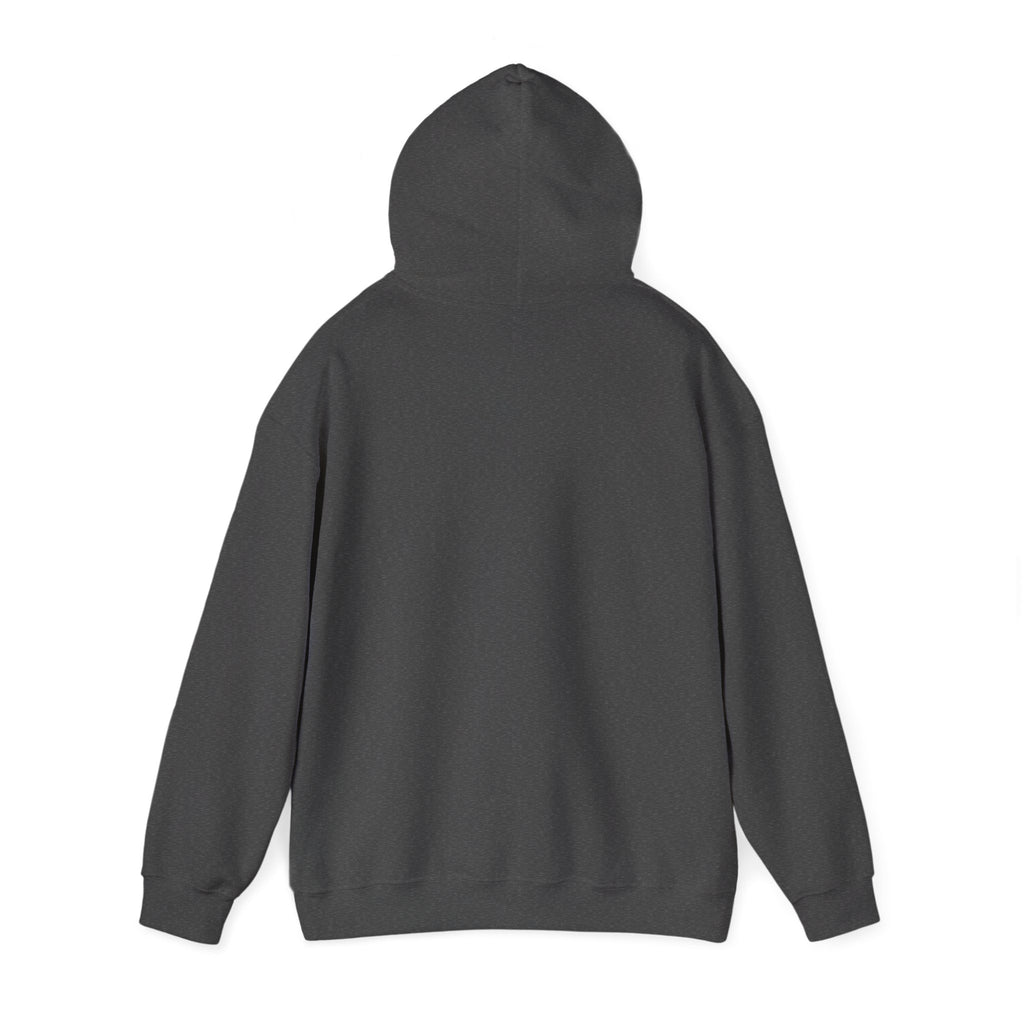 Colorful Paper Daisy Field Hoodie — Vibrant Flower Photo Sweatshirt
